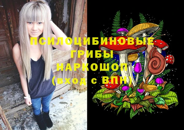 spice Покровск