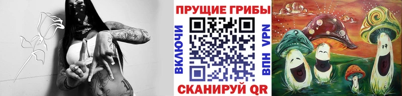 где купить   Курильск  Галлюциногенные грибы мухоморы 