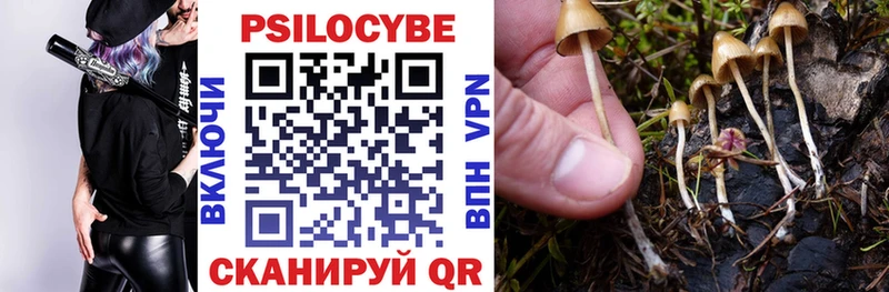 Галлюциногенные грибы мицелий Курильск